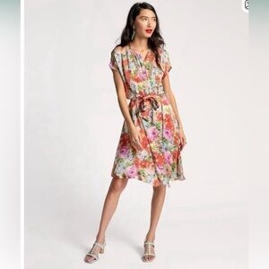 Frances Valentine Anna Slope Arm Dress with Pockets Rose print 2X